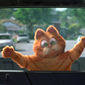 Foto 23 Garfield: The Movie