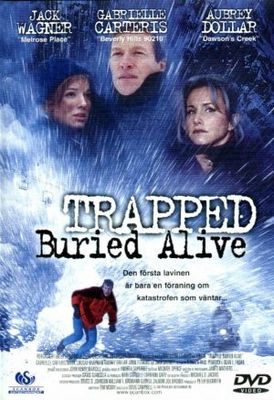 Trapped: Buried Alive poster