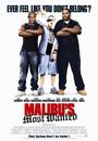 Film - Malibu's Most Wanted