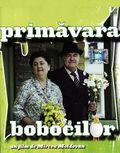 Primavara bobocilor