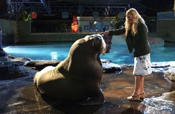 50 First Dates