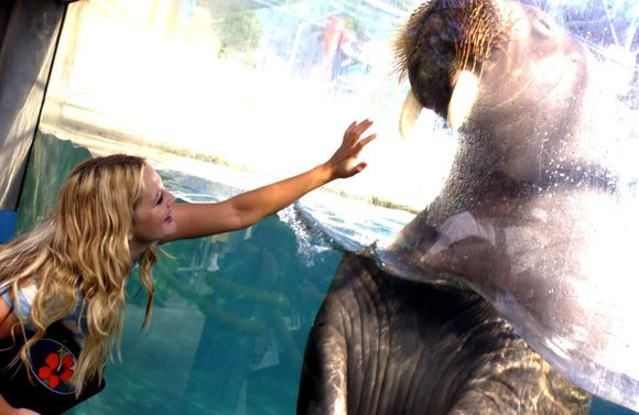 50 First Dates
