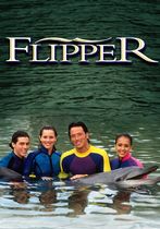 Noile aventuri ale lui Flipper
