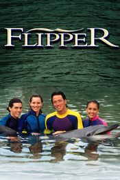 Poster Flipper Speaks!