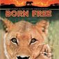 Poster 3 Born Free: A New Adventure