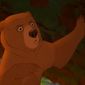 Foto 12 Brother Bear