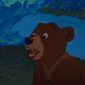 Foto 8 Brother Bear