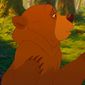 Foto 13 Brother Bear