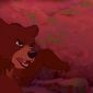 Foto 23 Brother Bear