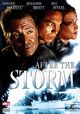 Film - After the Storm