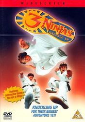 Poster 3 Ninjas Knuckle Up