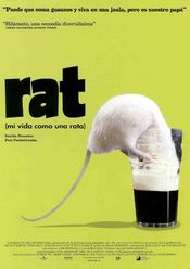 Poster Rat