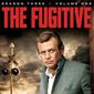 Poster 3 The Fugitive