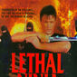 Poster 1 Lethal Ninja