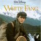 Poster 2 White Fang