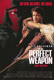 Poster The Perfect Weapon