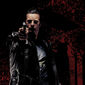 Poster 5 The Punisher