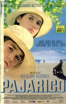 Pajarico poster