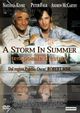 Film - A Storm in Summer