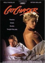 Poster Cat Chaser