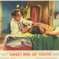 Poster 3 Sweet Bird of Youth