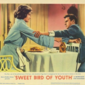 Poster 5 Sweet Bird of Youth