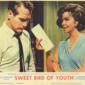 Poster 2 Sweet Bird of Youth