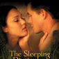 Poster 2 The Sleeping Dictionary