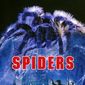 Poster 3 Spiders
