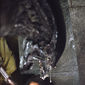 Foto 17 AVP: Alien vs. Predator
