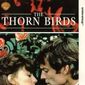 Poster 6 The Thorn Birds