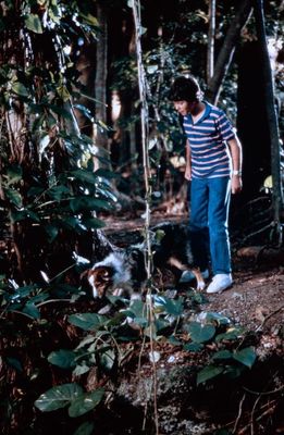 Flight of the Navigator