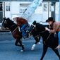 The Cowboy Way/Doi văcari prin New York