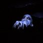 Foto 55 Nosferatu: Phantom der Nacht