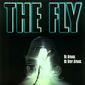 Poster 1 The Fly