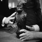 Foto 29 The Maltese Falcon
