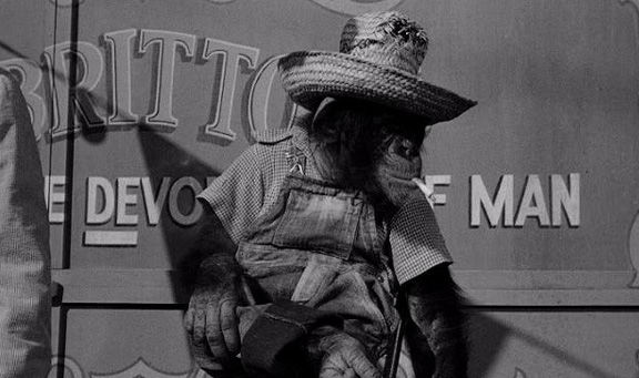 Inherit the Wind