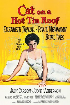 Cat on a Hot Tin Roof poster