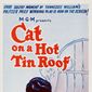 Cat on a Hot Tin Roof/Pisica pe acoperișul fierbinte
