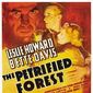 Poster 7 The Petrified Forest