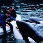 Foto 11 Free Willy 3: The Rescue