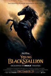 Poster The Young Black Stallion