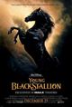 Film - The Young Black Stallion