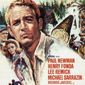Poster 1 Sometimes'a Great Notion