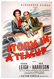 Poster Storm in a Teacup
