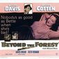 Poster 12 Beyond the Forest