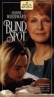 Poster Blind Spot