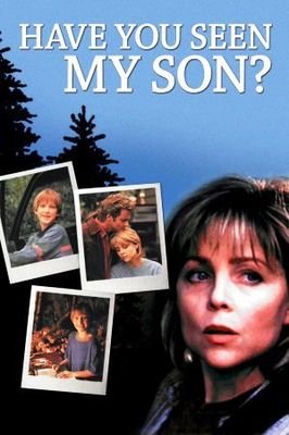 Have You Seen My Son? poster