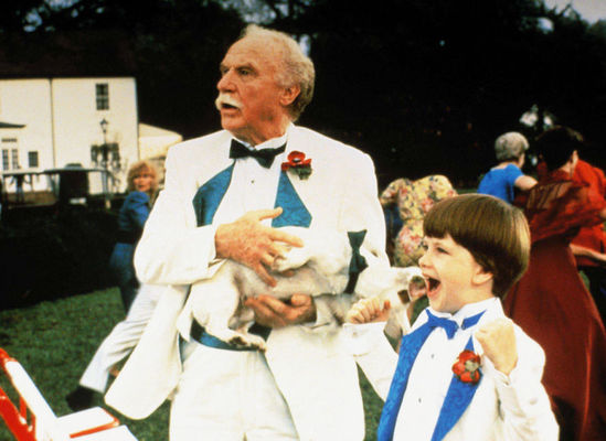 Problem Child 2
