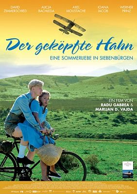 Der geköpfte Hahn poster